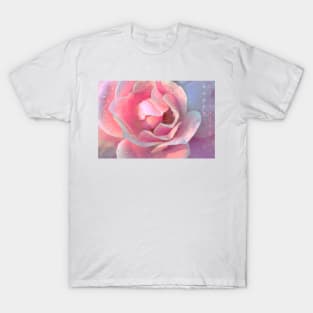 A Birthday Rose T-Shirt